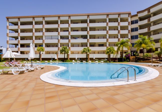 Apartamento em Vilamoura - Avelãs - Modern Apartment - Vilamoura