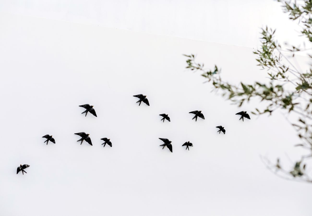 Apartamento em Olhão - CASA OLIVA - Olhão