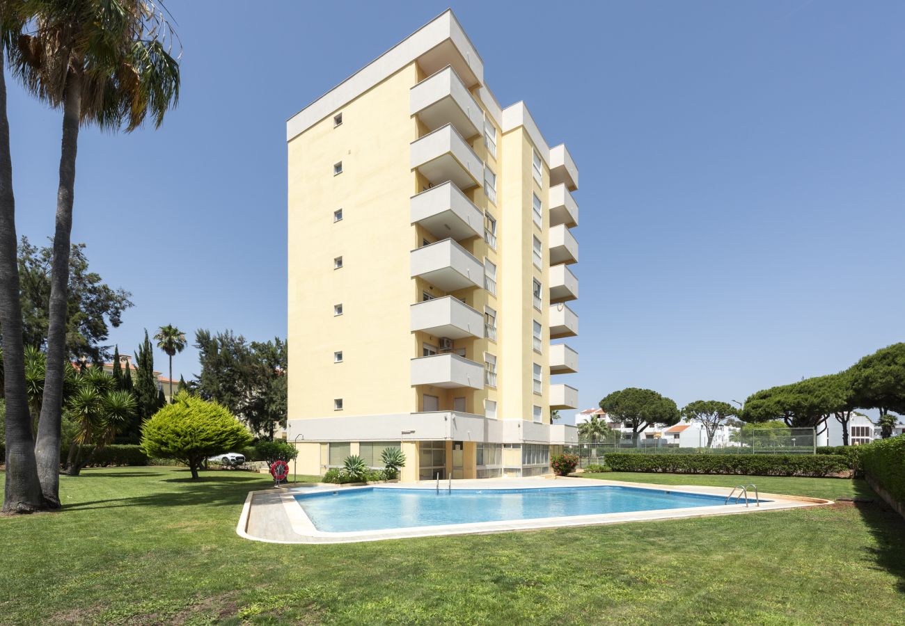 Apartamento em Vilamoura - Alva - cozy apartment with pool by HD
