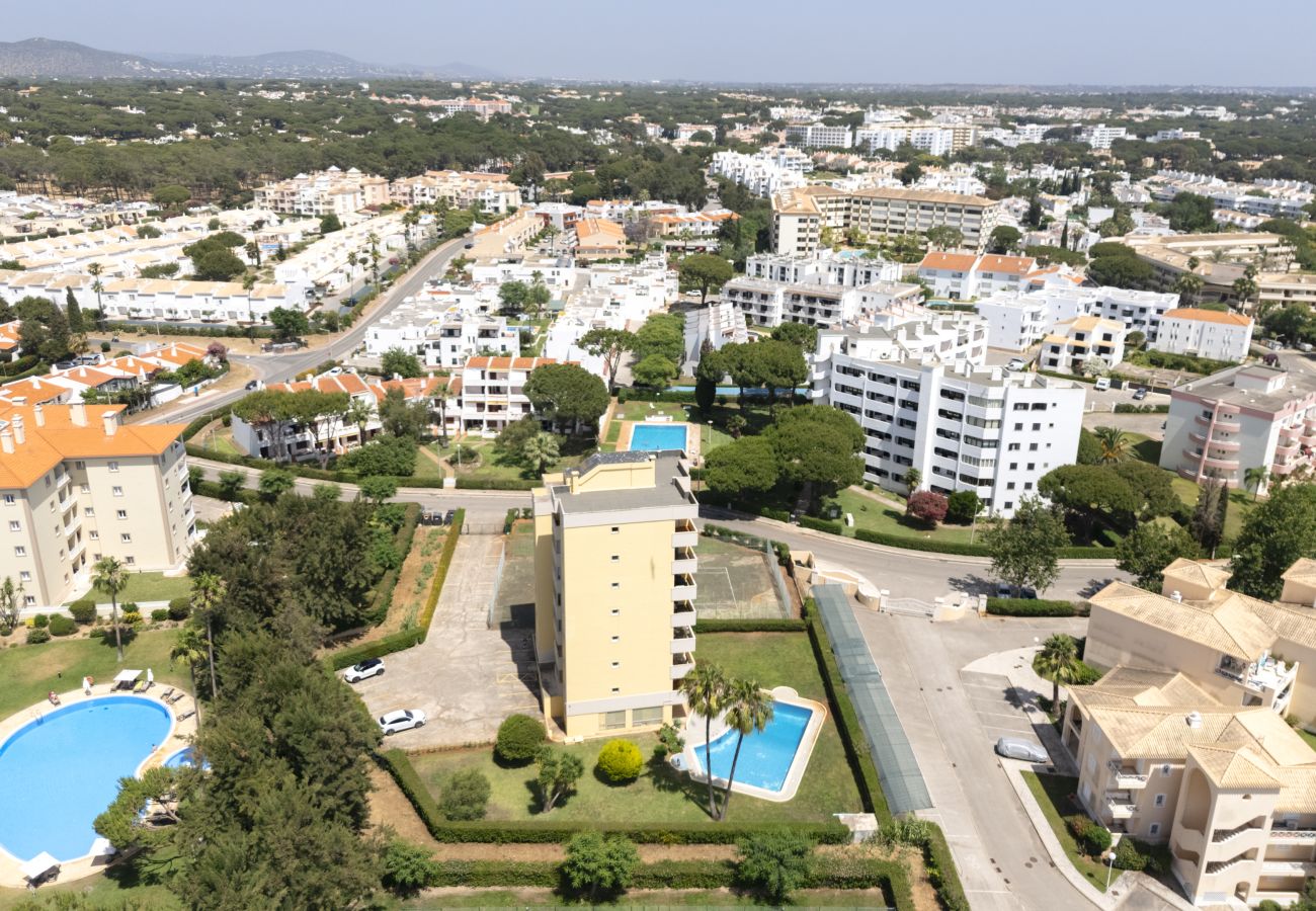 Apartamento em Vilamoura - Alva - cozy apartment with pool by HD