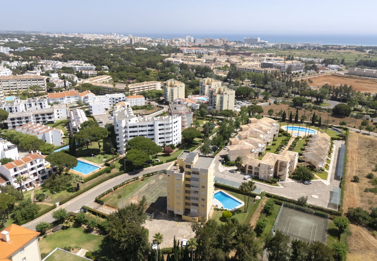 Apartamento em Vilamoura - Alva - cozy apartment with pool by HD