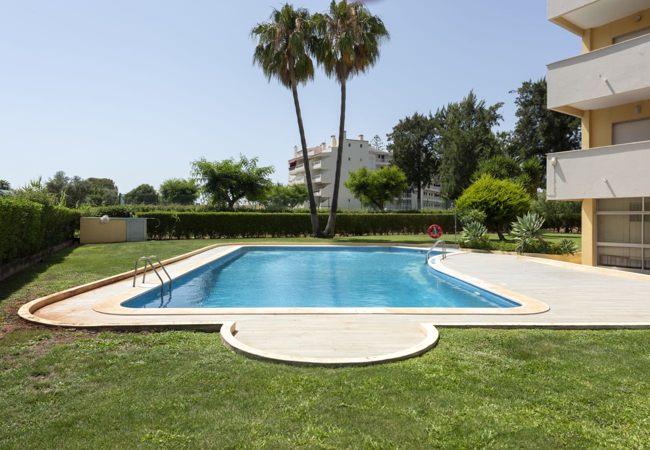 Apartamento em Vilamoura - Alva - cozy apartment with pool by HD
