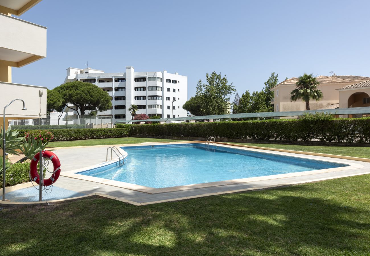 Apartamento em Vilamoura - Alva - cozy apartment with pool by HD