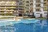 Apartment in Vilamoura - Alcharb - Vilamoura Apartment in Vilamoura - Alcharb - Vilamoura