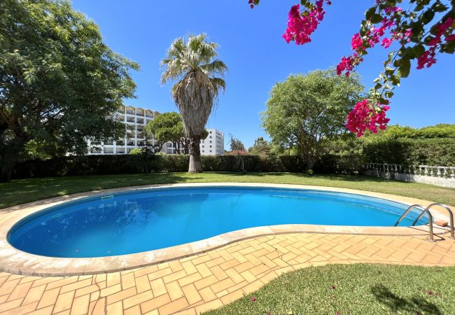 Villa in Vilamoura - Vila Rose - Private Pool by HD PROPERTIES Villa in Vilamoura - Vila Rose - Private Pool by HD PROPERTIES