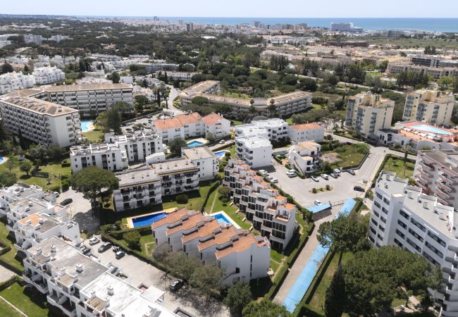 Apartment in Vilamoura - Fonte Moura - With pool by HD Apartment in Vilamoura - Fonte Moura - With pool by HD