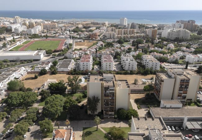 Studio in Vilamoura - Maya Vilamoura - City center by HD PROPERTIES Studio in Vilamoura - Maya Vilamoura - City center by HD PROPERTIES