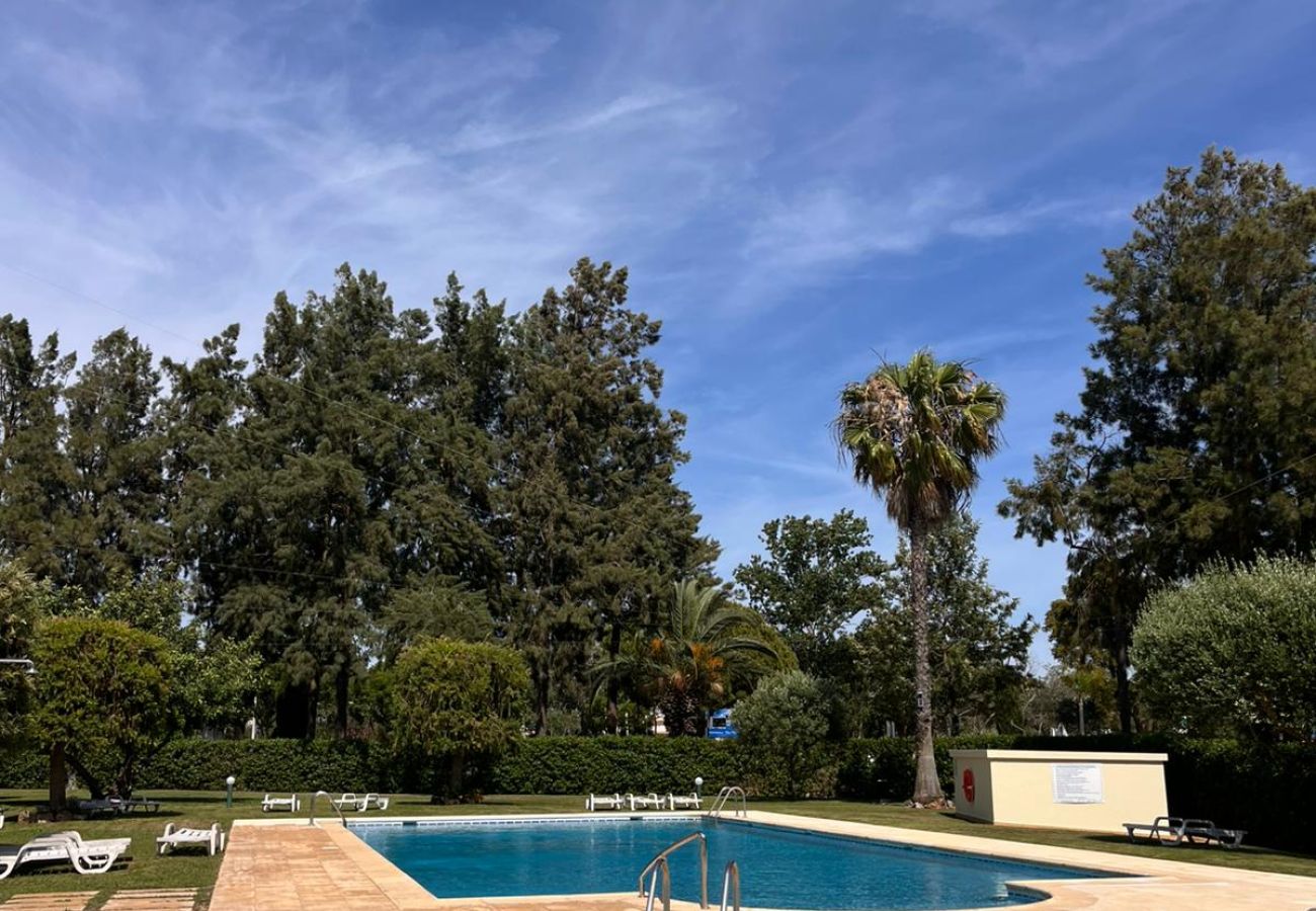 Apartment in Quarteira - Mélias - 2 br apartment whit pool by HD