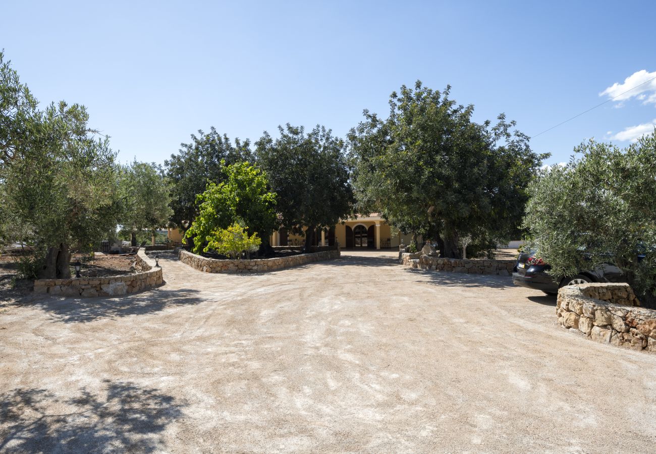 Cottage in Faro - Casa da Montanha - Peaceful Villa by HD